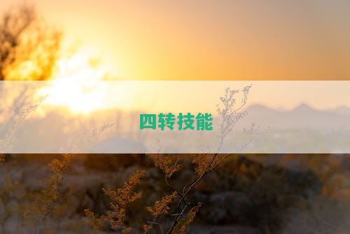 冒险岛火炮5转技能