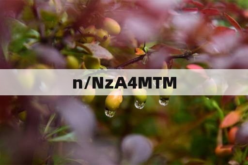 冒险岛打扎昆要做前置任务吗