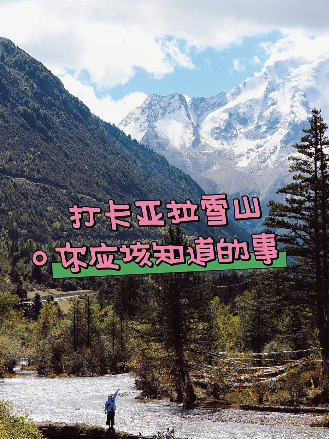 冒险岛雪龟岛名片