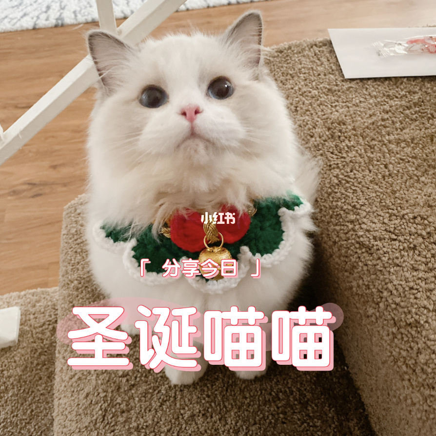 新开sf冒险岛