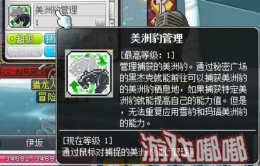 冒险岛095豹子哪里抓