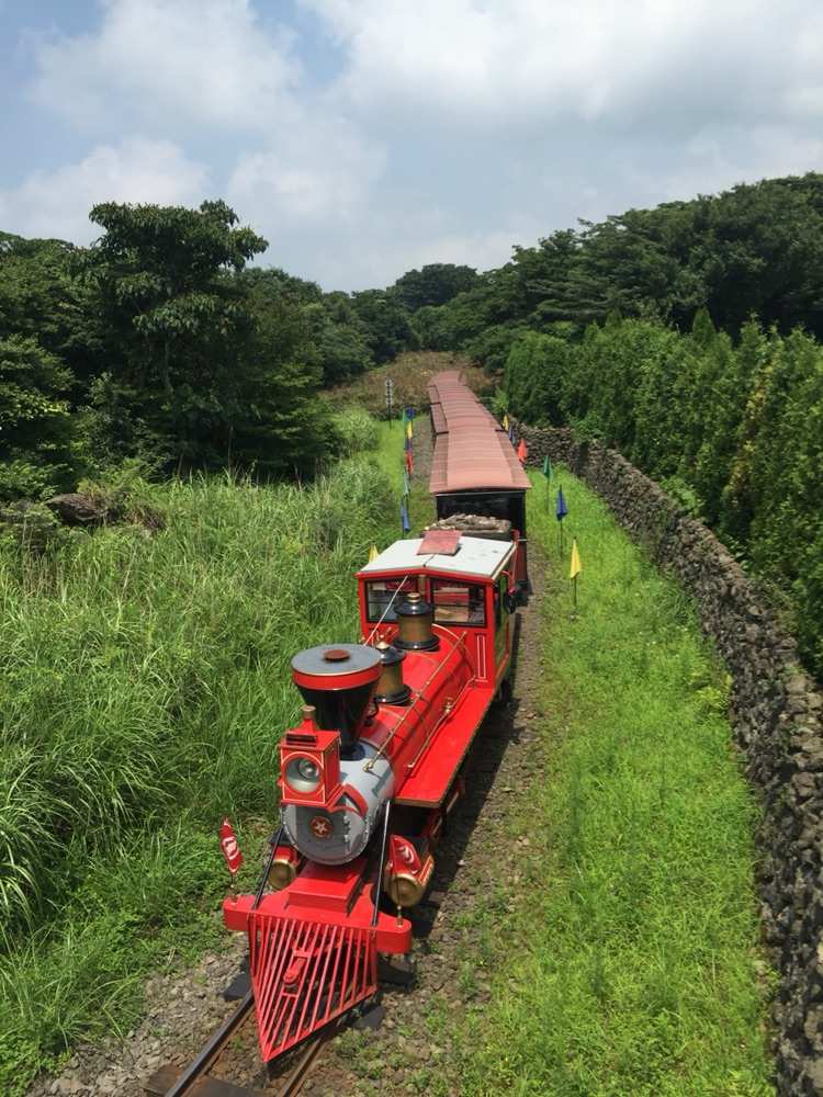 冒险岛阿里山的小火车