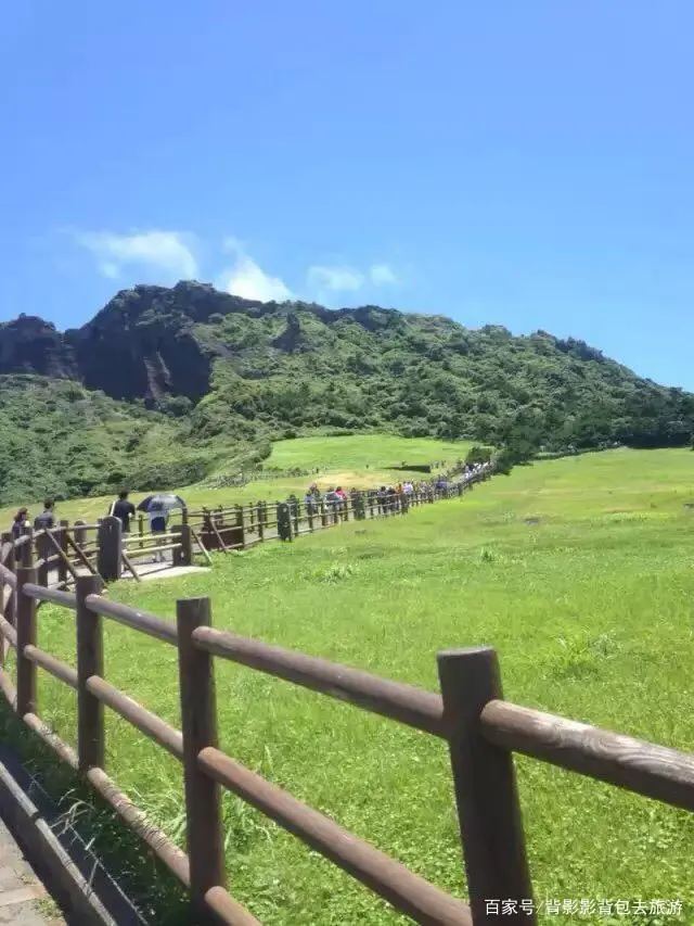 冒险岛阿里山的小火车