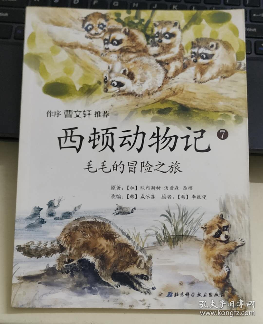毛毛冒险岛095等你来